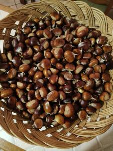 a bunch of chestnuts in a basket on a table at Il Nido Delle Rondini in Casale Bottone