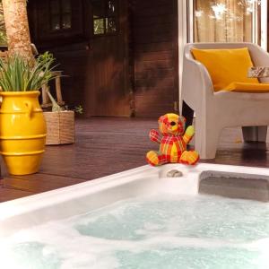 a teddy bear sitting in a bath tub at Cabane Charme & Jacuzzi in La Plaine