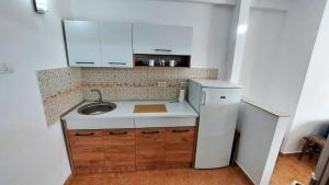 a small kitchen with a sink and a refrigerator at Cristina's place Arad in Arad
