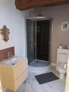 ein Bad mit einer Dusche, einem Waschbecken und einem WC in der Unterkunft Gîte du Manoir in Subles