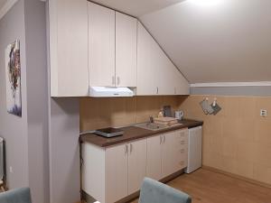 Köök või kööginurk majutusasutuses Apartman Ana