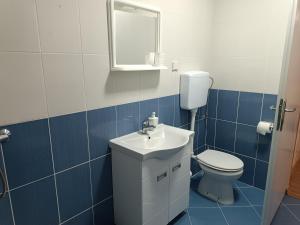 Koupelna v ubytování Apartman Ana + 8 fotografií