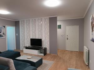 Televiisor ja/või meelelahutuskeskus majutusasutuses Apartman Ana