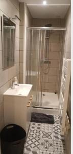 a small bathroom with a shower and a sink at Appartement centre ville in Châteauroux