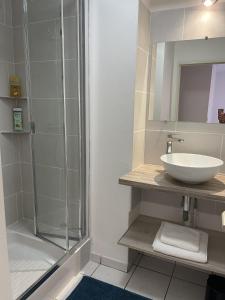 a bathroom with a sink and a glass shower at Appartement le Paul Bert Auxerre Les Quais 2 personnes in Auxerre