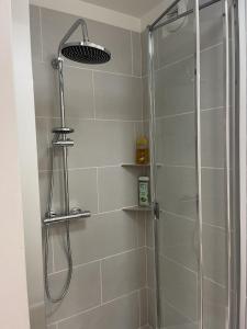 a shower in a bathroom with a glass shower stall at Appartement le Paul Bert Auxerre Les Quais 2 personnes in Auxerre +24 photos