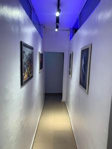 a hallway with paintings on the walls of a museum at Jesam House in Suru Lere