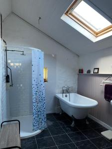 y baño con bañera, ducha y lavamanos. en 3 bed cottage in Ahakista West cork en Ahakista