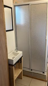 een badkamer met een wastafel en een douche bij Cay Cay lodge in Valdivia