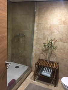 a bathroom with a shower with a potted plant in it at La Casina de Barreo Avilés 