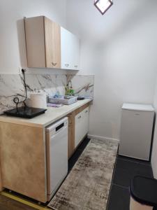 a kitchen with a sink and a refrigerator at Apartmani Radman in Igalo