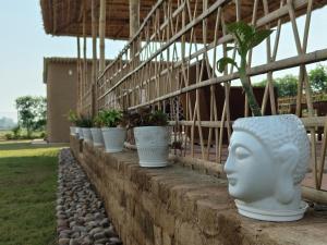 a row of plants in white pots on a wall at TENTFORTABLE Village Retreat in Agra