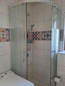 a shower with a glass door in a bathroom at Klein, aber fein in Sophienhof