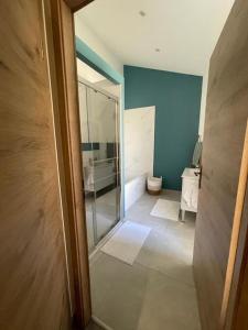 La salle de bains est pourvue d'une douche en verre et de toilettes. dans l'établissement Beaujolais - Maison pierres dorées, à Ville-sur-Jarnioux