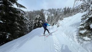 een persoon is aan het skiën op een sneeuw bedekte helling bij Apartman 4 kuny Tále in Horná Lehota