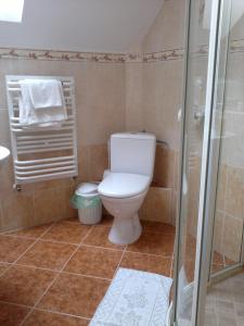 ein Badezimmer mit Toilette und Dusche in der Unterkunft Gościniec Czapla in Dywity