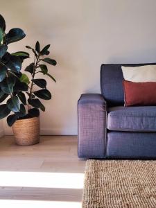 uma sala de estar com um sofá e uma planta em Casa do Crasto em Soajo