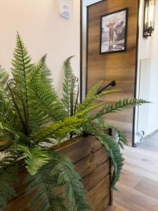 a plant in a wooden planter in front of a door at FeWo Ottobeurens Schmuckstück: Gemütlich-Stylische Wohnung in Ottobeuren