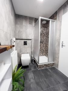a bathroom with a white toilet and a shower at FeWo Ottobeurens Schmuckstück: Gemütlich-Stylische Wohnung in Ottobeuren
