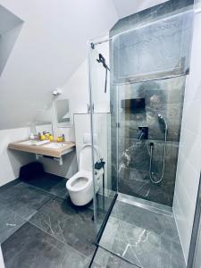 a bathroom with a shower and a toilet and a sink at Chalet Furmanski in Stará Lesná