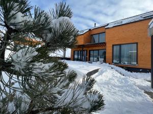 a snow covered tree in front of a house at Chalet Furmanski in Stará Lesná
