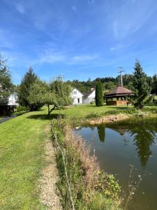 a pond in a yard with a house in the background at Domki nad Stawem Uherce in Uherce Mineralne (7)