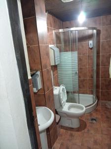 La petite salle de bains est pourvue d'une douche et de toilettes. dans l'établissement BUMBAR ETNO DVORAC, à Tekija