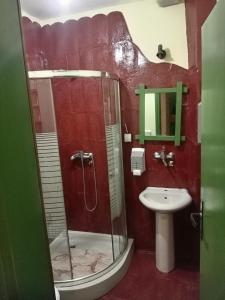 a bathroom with a shower and a sink at BUMBAR ETNO DVORAC in Tekija