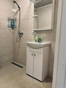ein Badezimmer mit einem weißen Waschbecken und einer Dusche in der Unterkunft AJ Chocolate Vilnius in Vilnius