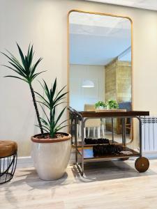 una maceta sentada frente a un espejo en MRG Luxo e Tranquilidade Casa de Pedra 2D, en Gramado