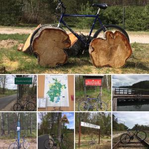 a collage of photos with a bike and a tree stump at Domek Leśny Reset in Studzienice