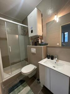 ein Bad mit einem WC, einem Waschbecken und einer Dusche in der Unterkunft Studio Design - Terrasse - Proche du stade in Saint-Étienne
