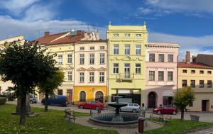 un grupo de edificios con una fuente en una ciudad en Apartmány Malé náměstí, Broumov, en Broumov