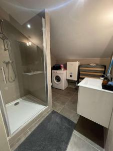 ein kleines Bad mit einer Dusche und einem WC in der Unterkunft T2 Cosy - Terrasse - Proche du stade - 401 in Saint-Étienne