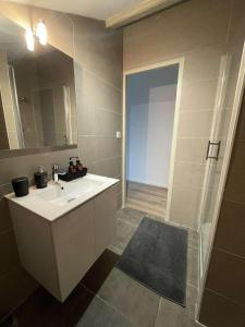 ein Badezimmer mit einem weißen Waschbecken und einer Dusche in der Unterkunft T2 Cosy - Terrasse - Proche du stade - 401 in Saint-Étienne