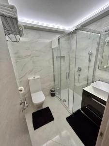 een badkamer met een douche, een toilet en een wastafel bij Apartment Stella in Mali Lošinj