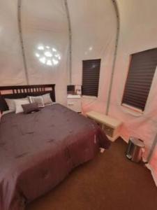 a bedroom with a large bed and two windows at Crazy Horse - APT 1 in Kanab