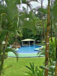 una piscina en un patio con palmeras en Hotel y Restaurante El Páramo en San Rafael Norte