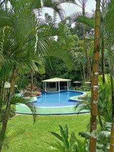 a swimming pool in a yard with palm trees at Hotel y Restaurante El Páramo in San Rafael Norte