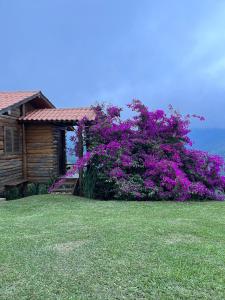 ein Haus mit einem großen Busch mit lila Blumen in der Unterkunft Cabana Vista Maravilhosa in Visconde De Maua