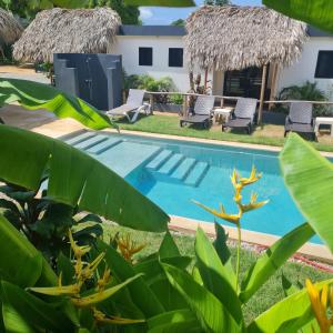 a swimming pool with chairs and plants in front of a house at BUNGALOWS COLIBRI in Las Galeras