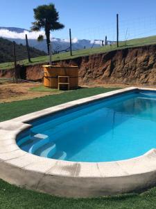 a swimming pool in the grass with a tree in the background at Los Quillayes in Curacaví