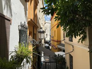 un callejón en una ciudad con edificios y plantas en Blue House Arenal Seville, en Sevilla