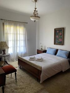 a bedroom with a large bed and a chandelier at Xristos House in Tríkala