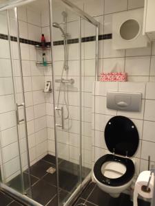 a bathroom with a glass shower and a toilet at Welkom in mijn Studio bij het Snekermeer ! in Offingawier