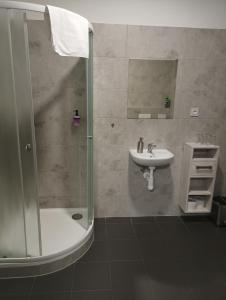 a bathroom with a shower and a sink at Apartmány u golfu in Jihlava