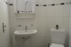 a white bathroom with a toilet and a sink at Aare Studio 1 in Interlaken