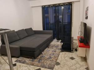 uma sala de estar com um sofá e uma televisão em Appartement central et au calme em Nice