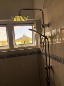 ein Bad mit Dusche und ein Fenster mit Aussicht in der Unterkunft Rayon Bleu C2 in Flic-en-Flac