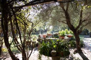 Taman di luar Locanda Acetaia Malagoli Daniele